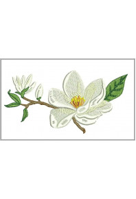 Plf025 - Magnolia